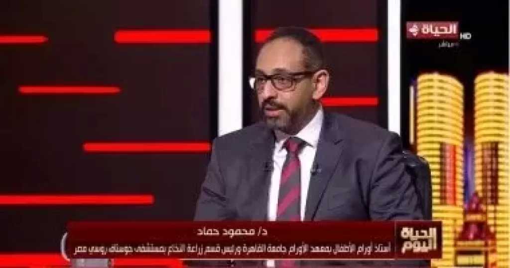 الأوقاف: نجاح دولة التلاوة بتكاتف المؤسسات.. وشكرا للمتحدة
