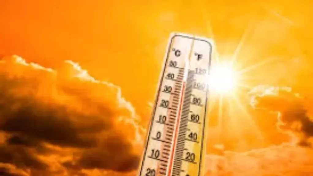 الطقس غدا ..أجواء مائلة للحرارة نهارًا يصاحبها شبورة وأمطار خفيفة