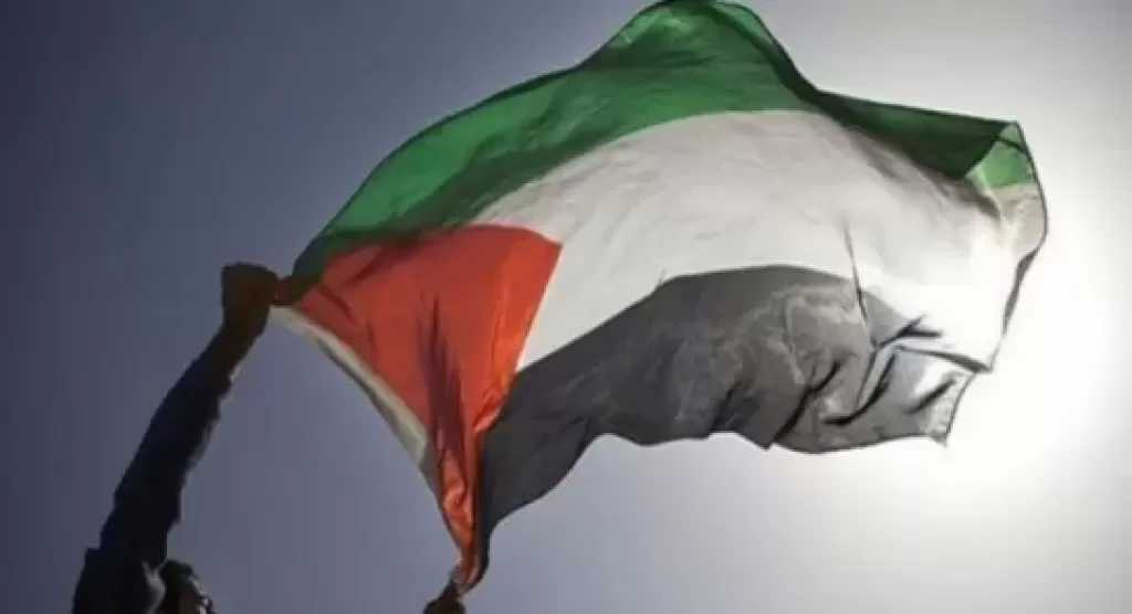 قطر تجدد موقفها الداعم للقضية الفلسطينية في بيان بمقر الأمم المتحدة