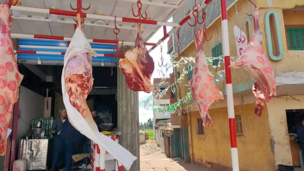 ضبط لحوم مجمدة فاسدة وأخرى بلدية في حملات تموينية بكفرالشيخ