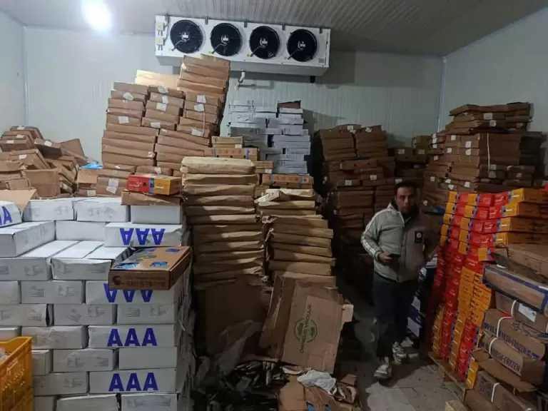 ضبط 13 طن دجاج وكبدة وأسماك غير صالحة للاستهلاك الآدمي في حملة بنبروه
