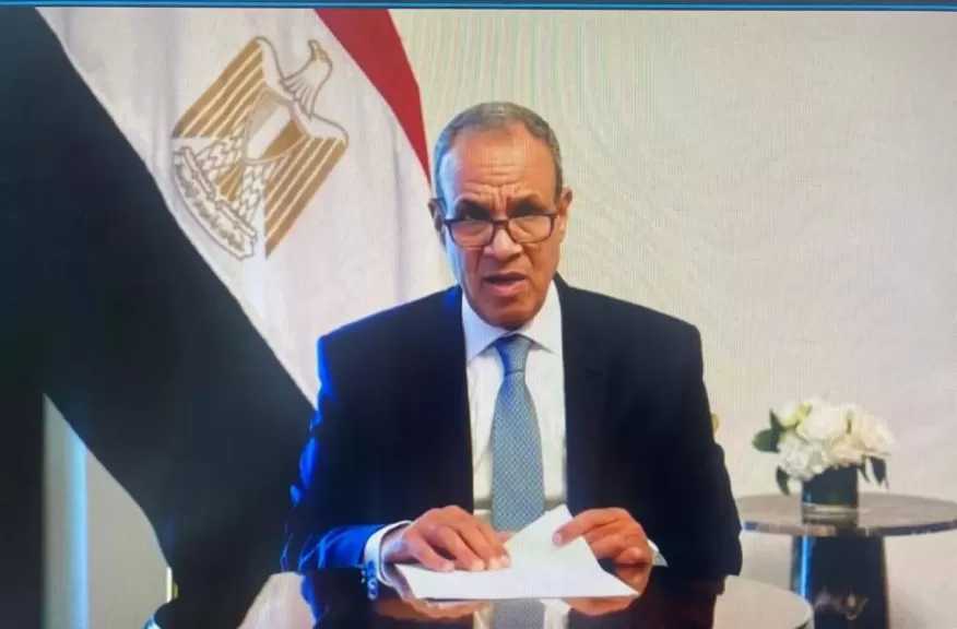 وزير الخارجية يلقي كلمة مصر أمام الدورة ٦١ للمجلس