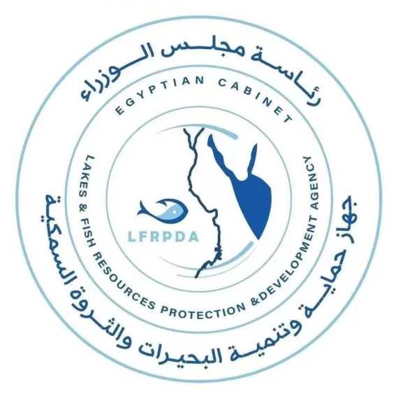 جهاز حماية وتنمية البحيرات والثروة السمكية: مواصلة أعمال الحصاد بمزرعة المنزلة السمكية