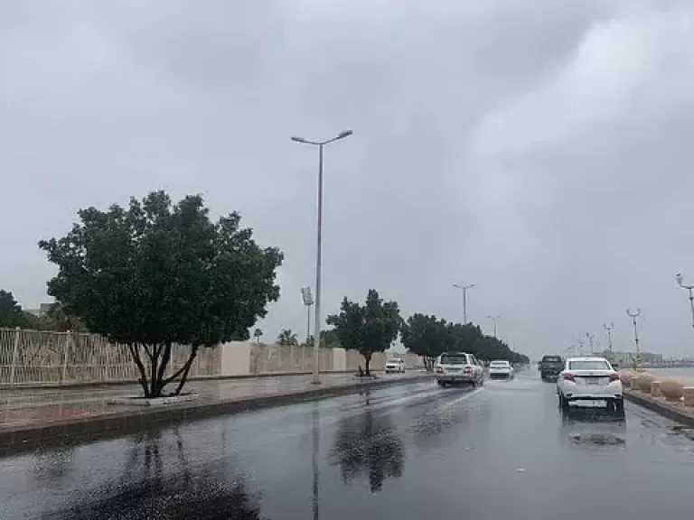 حالة الطقس اليوم الأربعاء.. أجواء باردة صباحًا وانخفاض ملحوظ في درجات الحرارة ليلًا