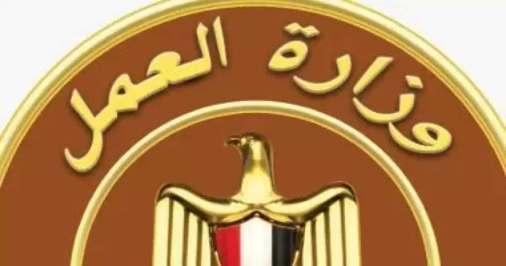 وزارة العمل: 5188 فرصة عمل جديدة فى نشرة التوظيف بـ11 محافظة