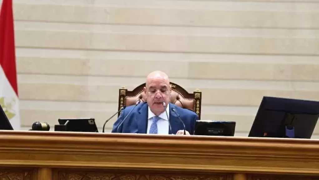 مجلس النواب يوافق على تشكيل المجلس القومي لحقوق الإنسان