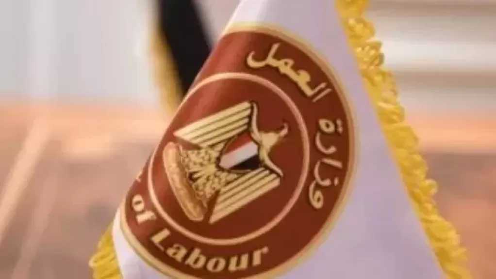 وزارة العمل تعلن عن توفير 500 فرصة عمل في قطاع التجزئة بـ7 محافظات