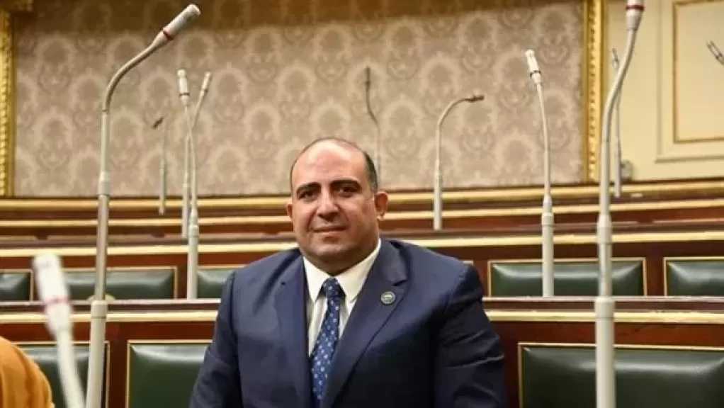 وكيل إفريقية النواب يطالب بتعظيم الاستفادة الاقتصادية من المشروعات القومية