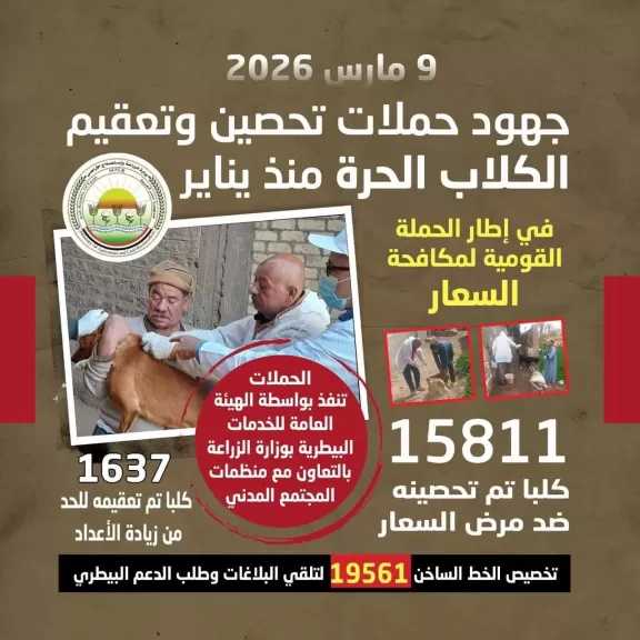 تحصين 15811 كلب حر ضمن الحملة القومية لمكافحة السعار