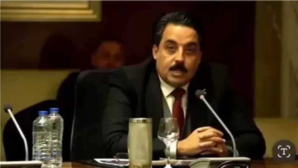 قيادي بحزب الجيل: زيارة رئيس فنلندا حجر زاوية لمسار دبلوماسي مصري جديد نحو شمال أوروبا