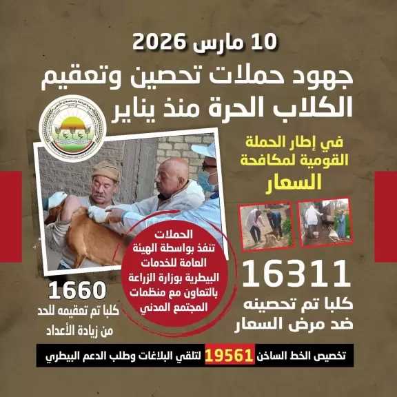 الهيئة العامة للخدمات البيطرية تواصل تنفيذ الحملة القومية لمكافحة السعار والسيطرة على أعداد الكلاب الحرة