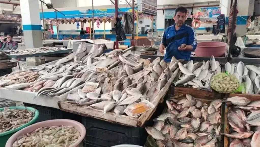 أسعار الأسماك في الأسواق اليوم الأربعاء