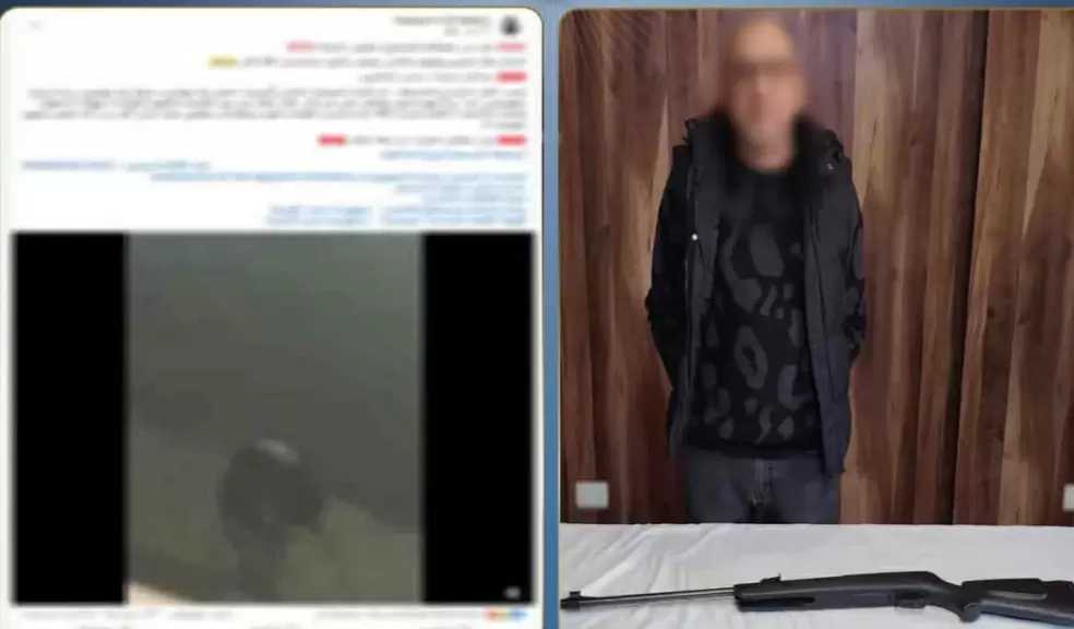 القبض على شخص أطلق أعيرة الرش على الكلاب الضالة في القاهرة
