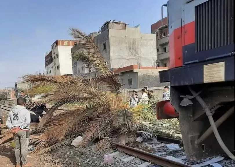عودة حركة القطارات بالإسكندرية بعد توقف مؤقت لسقوط نخلة على القضبان