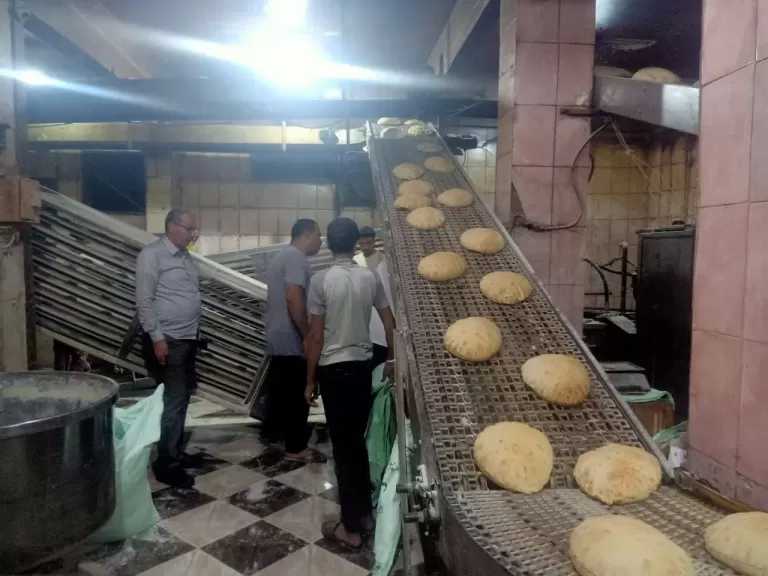 تحرير 91 محضرا لمخالفات تموينية في كفرالشيخ