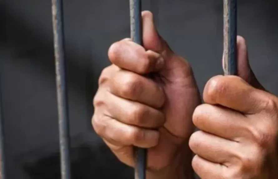 السجن 7 سنوات لمتهمين بتزوير شهادات منسوبة لجامعة القاهرة في بولاق