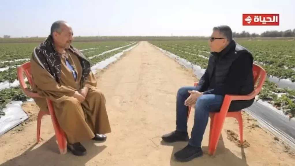 بيصدر فراولة وعنب.. رحلة ملهمة للحاج علي مع استصلاح الاراضي | أجمل ناس