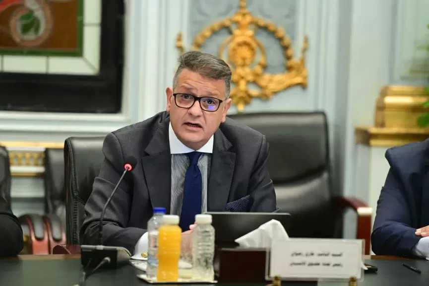 برلماني: جولة الرئيس السيسي الخليجية أكدت أن أمن الخليج جزء لا يتجزأ من الأمن القومي المصري