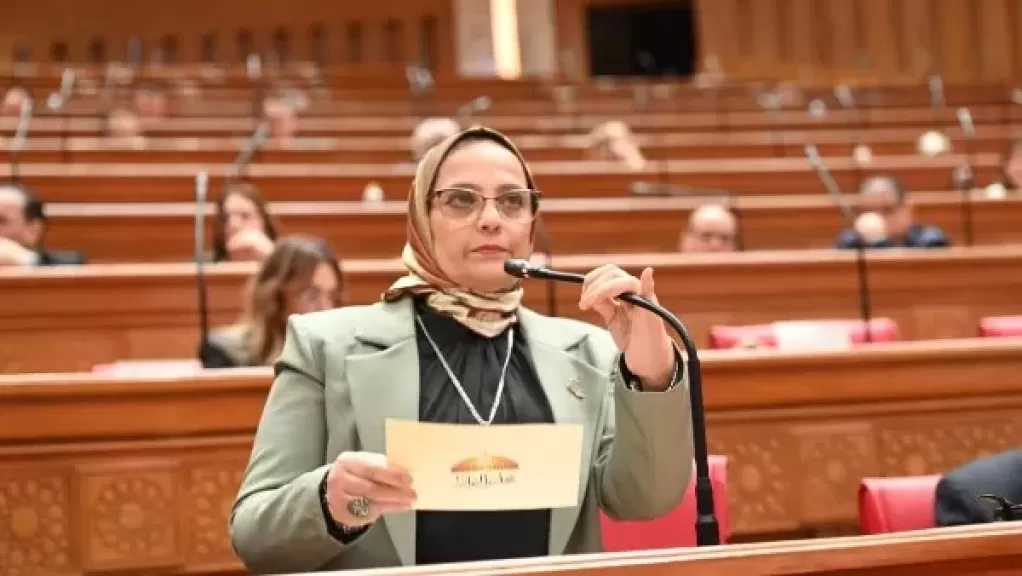 برلمانية: الجولة الخليجية للرئيس السيسي تؤكد التزام مصر الكامل بأمن واستقرار المنطقة