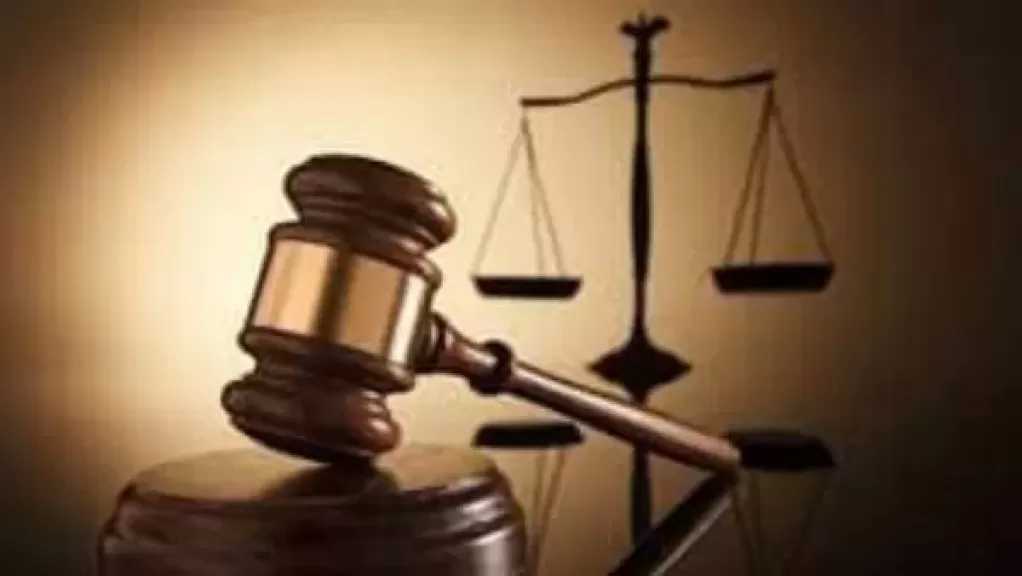 الحكم على بلوجر بتهمة التشهير بسيدة أجنبية.. الأربعاء