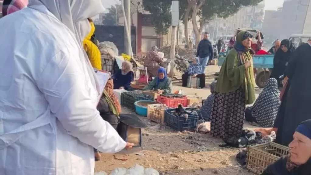 بالأرقام.. حملات بيطرية تفحص مئات الآلاف من الطيور والماشية خلال فبراير