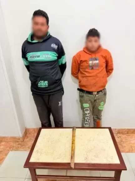 ضبط شخصين تعديا على حصان بالضرب في الغربية