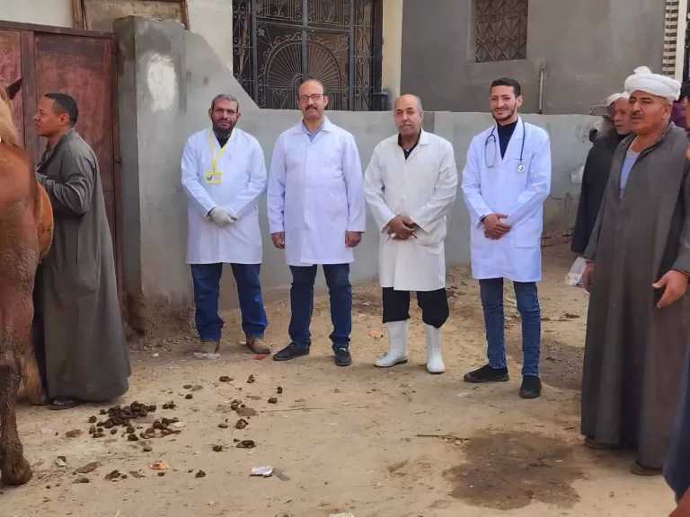 محافظ الدقهلية يتابع جهود مديرية الطب البيطري في تسيير قوافل طبية بيطرية وتقديم الرعاية اللازمة