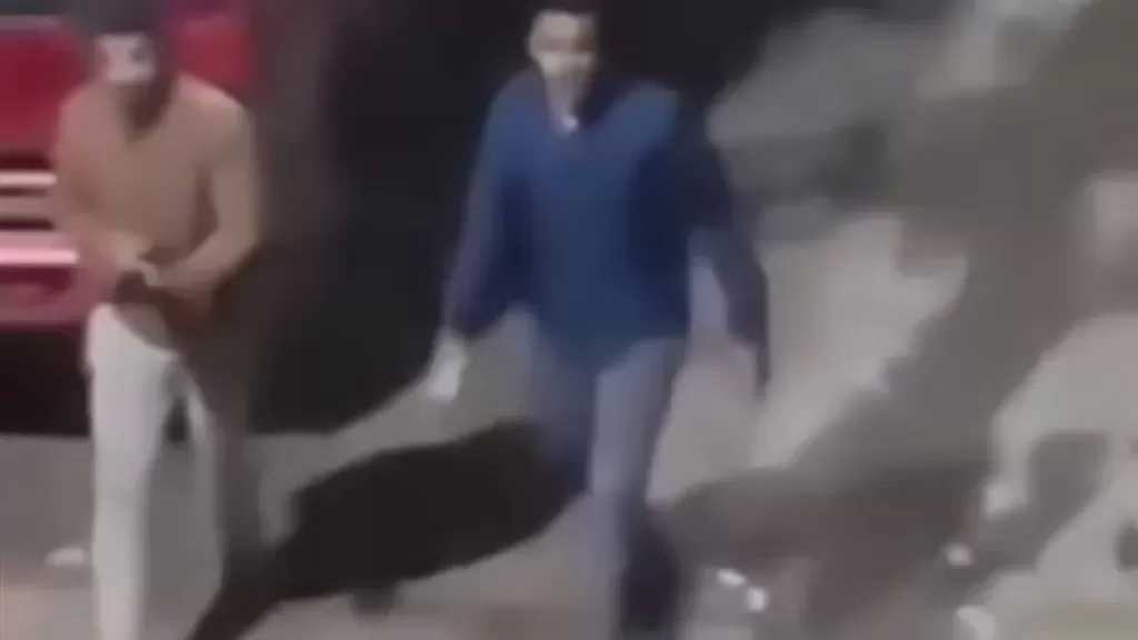 القبض على أطراف مشاجرة نشبت بأسلحة نارية في كفر العلو بحلوان