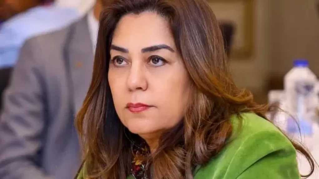 وزيرة التنمية المحلية والبيئة تتابع تأثيرات العوامل البيئية على جودة الهواء