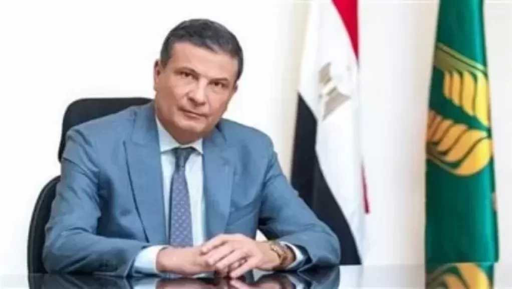 لأول مرة| زراعة 3.7 مليون فدان قمح وزيادة كبيرة في معدلات التوريد