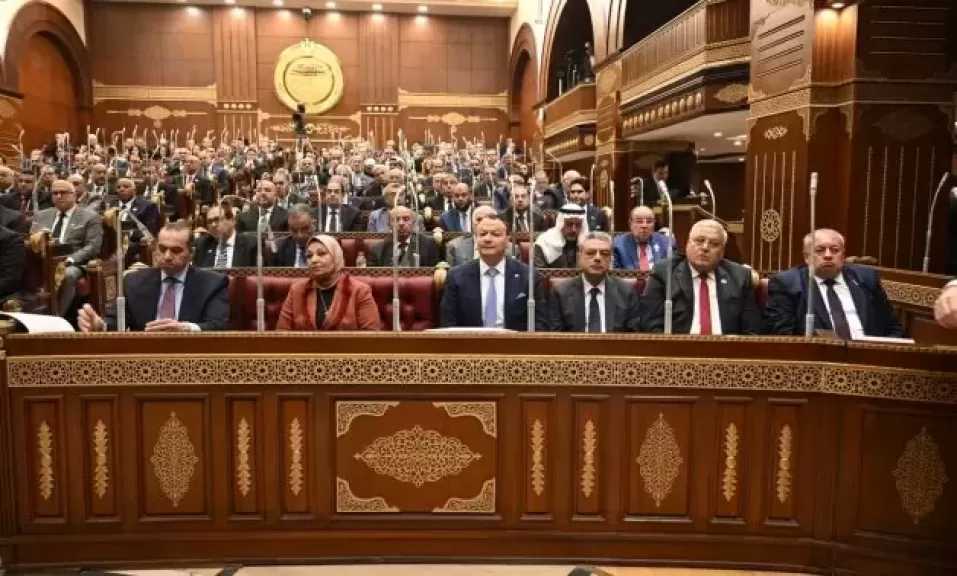 عضو بـ”الشيوخ” يطالب بحظر منصات ”التاروت” وقانون يجرم السحر.. تفاصيل
