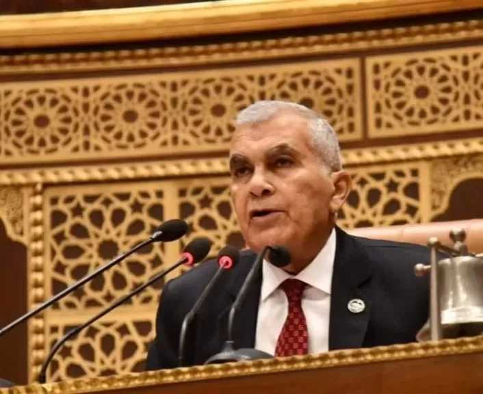 رئيس مجلس الشيوخ يهنئ النائبة أميرة صابر لإعادة انتخابها ممثلةً لمنطقة الشرق الأوسط وشمال أفريقيا في اللجنة الاستشارية للبرلمانيين الشباب