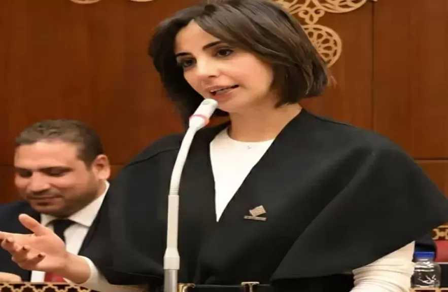 يوستينا رامي تطالب بتفعيل الأطر القانونية لشركات تجهيز وإدارة الشقق الفندقية