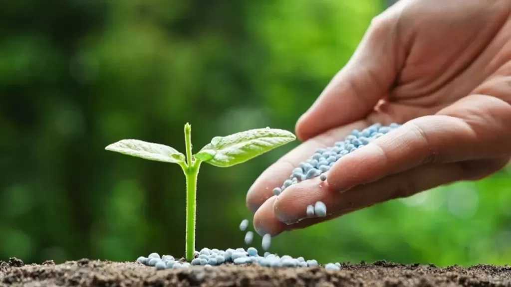 نقيب الفلاحين: ارتفاع أسعار الأسمدة يضغط على المزارعين