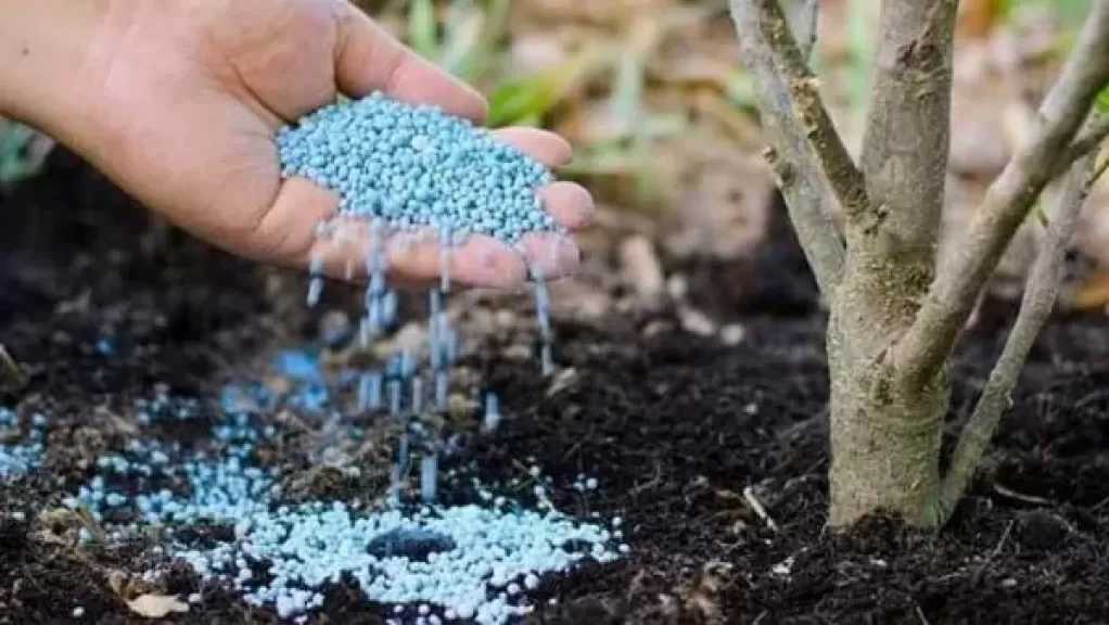 اتحاد الصناعات: استمرار دعم الأسمدة للمزارعين وصغار الحائزين