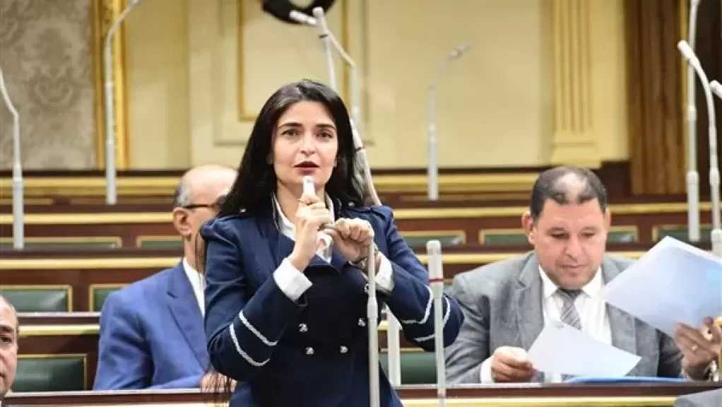 النائبة إيرين سعيد: نرفض مشروع الإدارة المحلية.. والحكومة لم تنفض التراب من عليه