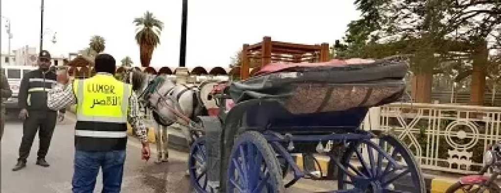 حملة لضبط عربات الحنطور المخالفة في الأقصر والتحفظ على عربة بمنطقة مرحبا