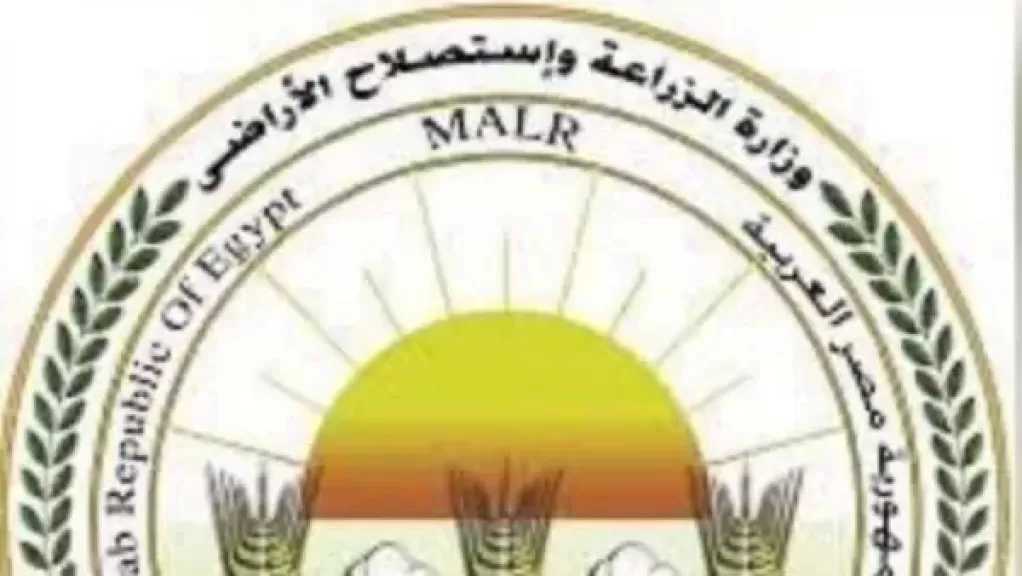 متحدث الزراعة: التقنيات الحديثة توفر 70% من التكلفة وتدعم زيادة الصادرات