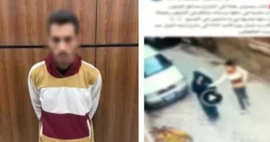 الداخلية تكشف ملابسات فيديو التحرش بفتاة في القاهرة