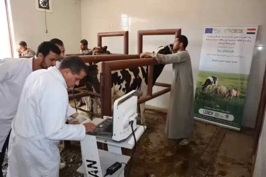 محافظ أسيوط: قوافل بيطرية مجانية بالتعاون مع الاتحاد الأوروبي وجامعة بدر.. علاج 2328 حالة خلال أسبوع