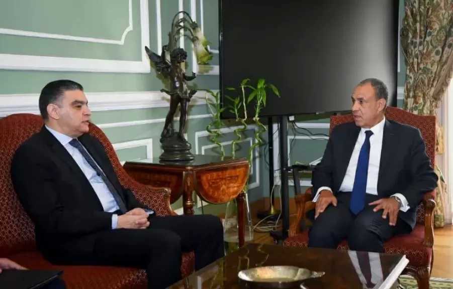 وزير الخارجية يبحث دعم نفاذ الدواء المصري إلى الأسواق الأفريقية