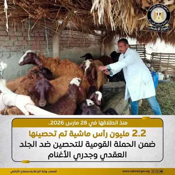الزراعة: تحصين نحو 2.2 مليون رأس ماشية على مستوى الجمهورية