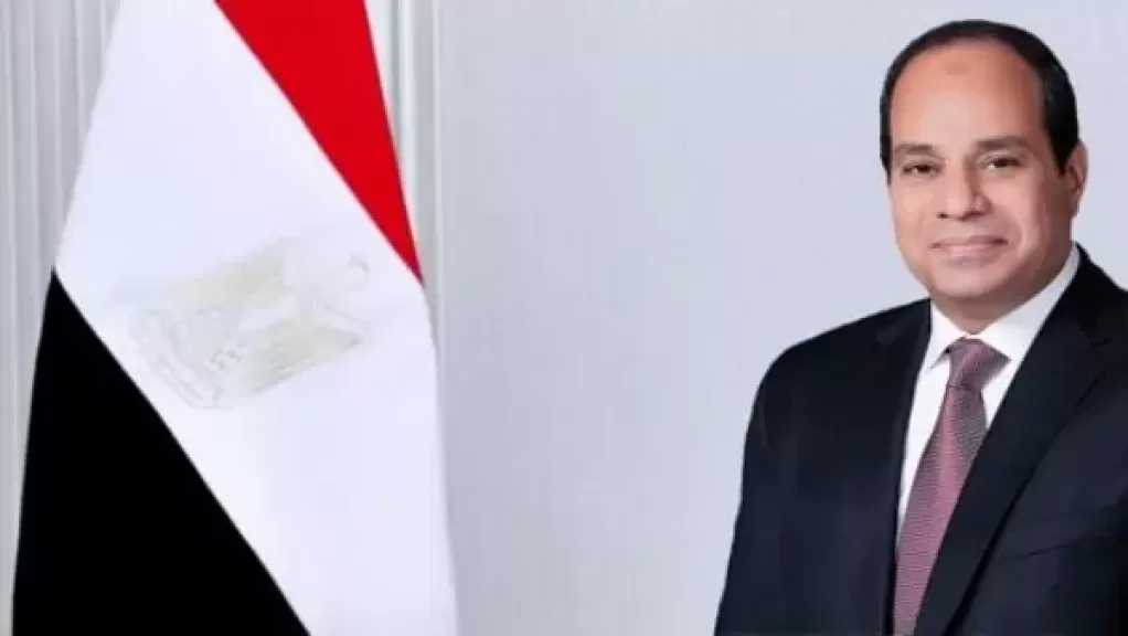 نائبة: توجيهات الرئيس بشأن قوانين الأسرة ضرورة لدعم الاستقرار