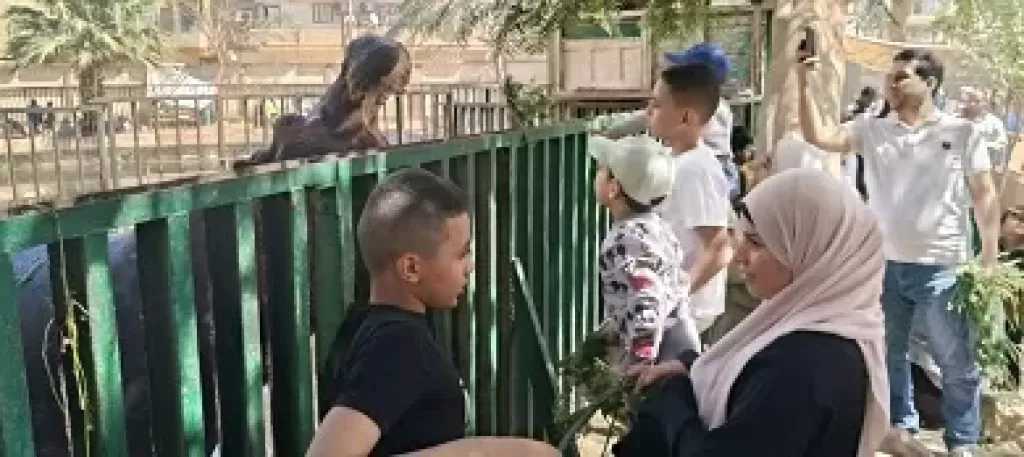 إقبال متوسط على حديقة حيوان الفيوم خلال احتفالات شم النسيم