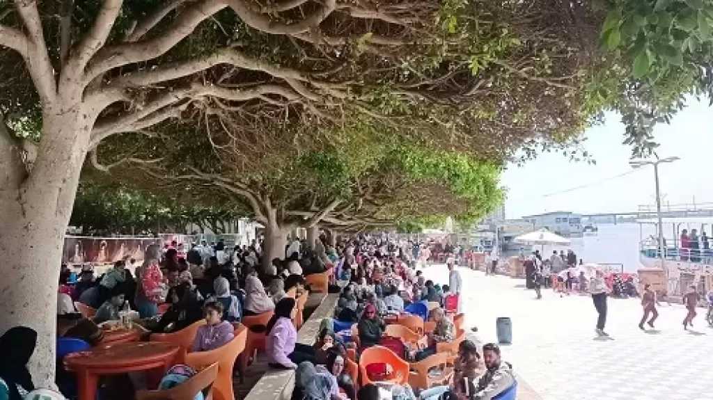 كفر الشيخ.. إقبال كثيف على حدائق دسوق والرحلات النيلية في شم النسيم