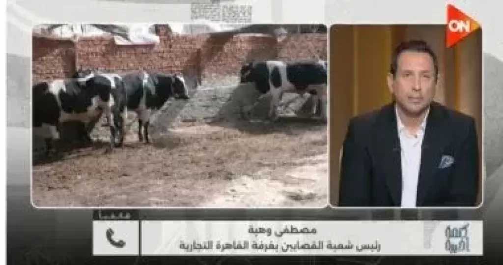 شعبة القصابين: استقرار أسعار اللحوم في عيد الأضحى
