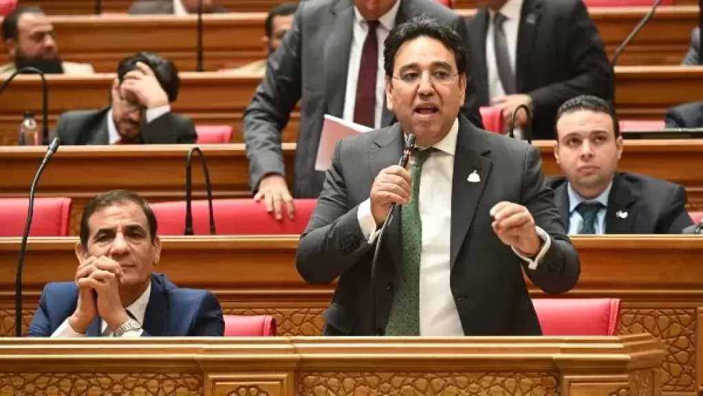 برلماني يطالب بخطة عاجلة لتعزيز كفاءة الكهرباء ودعم الاستثمار الأخضر