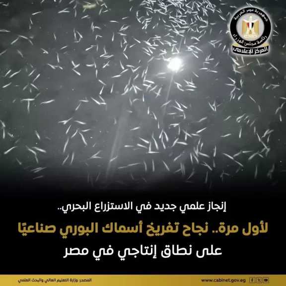 لأول مرة.. تفريخ أسماك البوري صناعيًا لأول مرة على نطاق إنتاجي داخل مصر