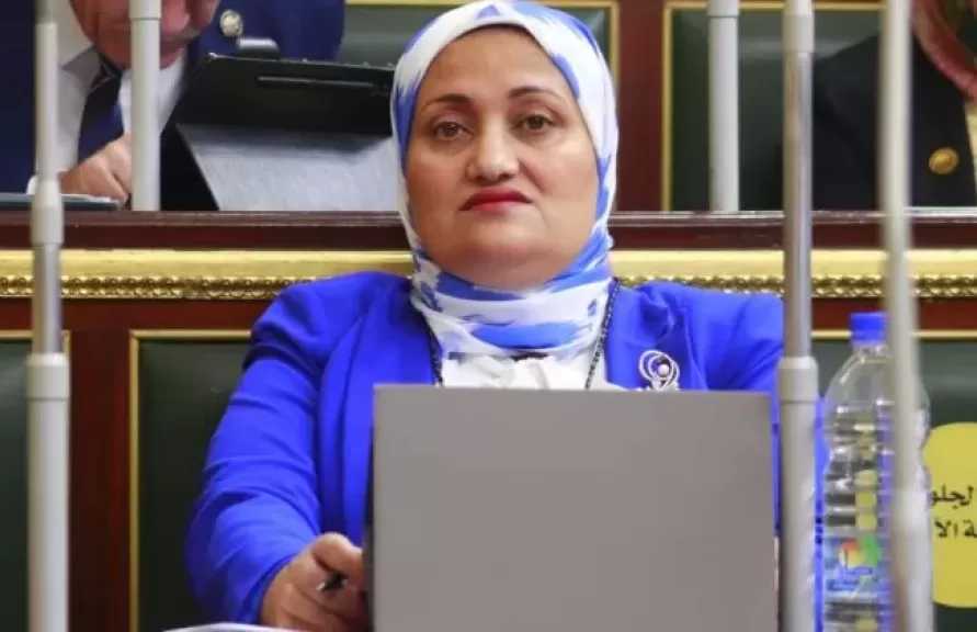 سؤال برلماني لوزير الكهرباء بشأن العدادات الكودية بأثر رجعي على تعاقدات سابقة