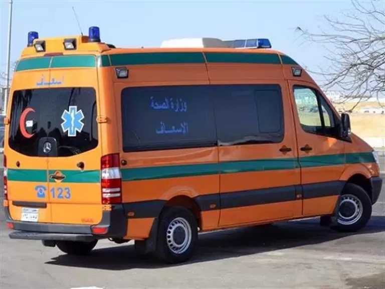 إصابة 7 أشخاص في مشاجرة بالمنيا